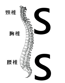 ○○○○○○○○イメージ